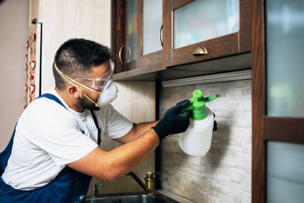 Best Best Pest Control Near Me  in Peaceful Valley, WA