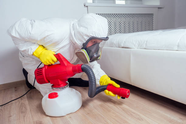 Best Wasp Removal Services  in Peaceful Valley, WA