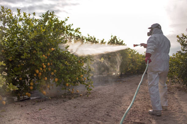 Trusted Peaceful Valley, WA Pest Control Experts