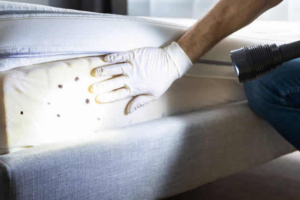 Best Pest Prevention Services  in Peaceful Valley, WA